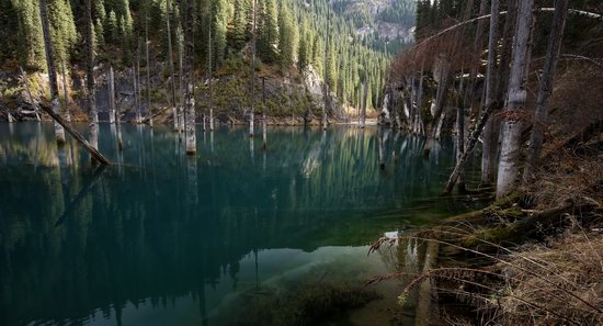 Sunken Forest of Lake Kaindy, Kazakhstan, photo 7