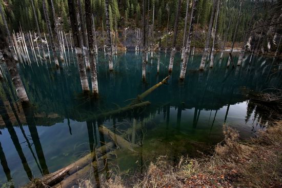 Sunken Forest of Lake Kaindy, Kazakhstan, photo 8