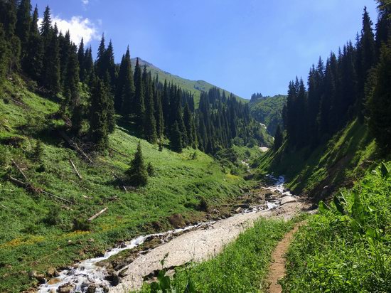 Hiking in Gorelnik Gorge, Kazakhstan, photo 13