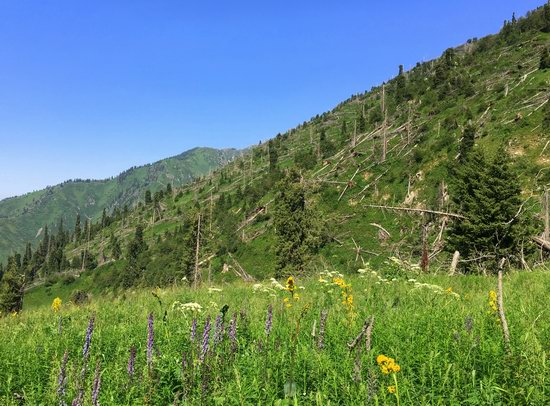 Hiking in Gorelnik Gorge, Kazakhstan, photo 14