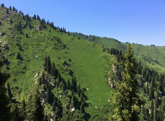 Hiking in Gorelnik Gorge, Kazakhstan, photo 6