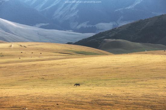 Breathtaking Landscapes of the Asy Plateau, Almaty Oblast, Kazakhstan, photo 4