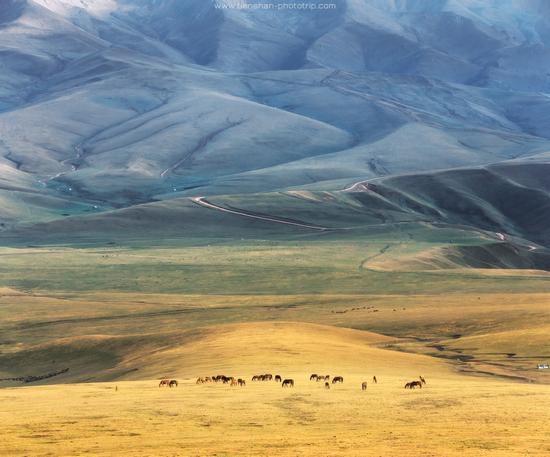 Breathtaking Landscapes of the Asy Plateau, Almaty Oblast, Kazakhstan, photo 5