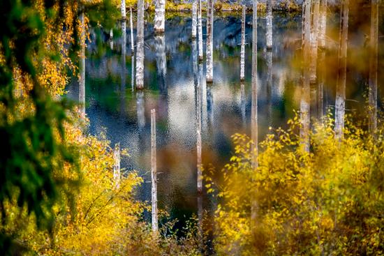 Autumn on Lake Kaindy, Almaty Oblast, Kazakhstan, photo 1