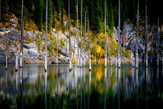 Autumn on Lake Kaindy, Almaty Oblast, Kazakhstan, photo 4