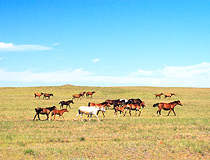 Akmola oblast, Kazakhstan scenery