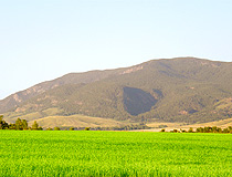 Akmola region landscape