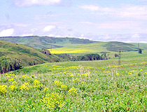 East Kazakhstan region nature