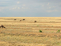 Kzyl-Orda oblast, Kazakhstan landscape