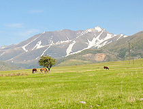 Turkistan region nature
