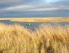 Kostanay region scenery