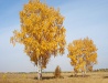 Kostanay region view