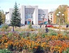 Ridder city view